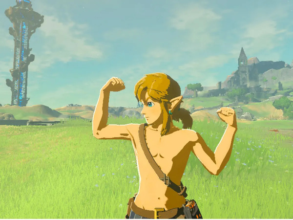 The Legend of Zelda Breath of the Wild